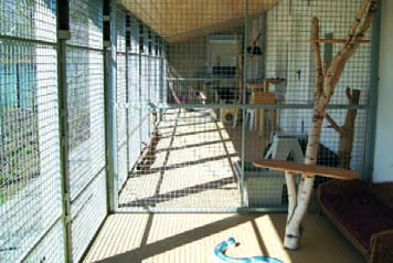 Außenbereich des neuen Katzenhauses Neubau im Juni 2009 eröffnet Um eine artgerechte Versorgung der vielen Tiere, insbesondere der Katzen zu ermöglichen, hat der Verein im Jahr 2009 einen Neubau mit