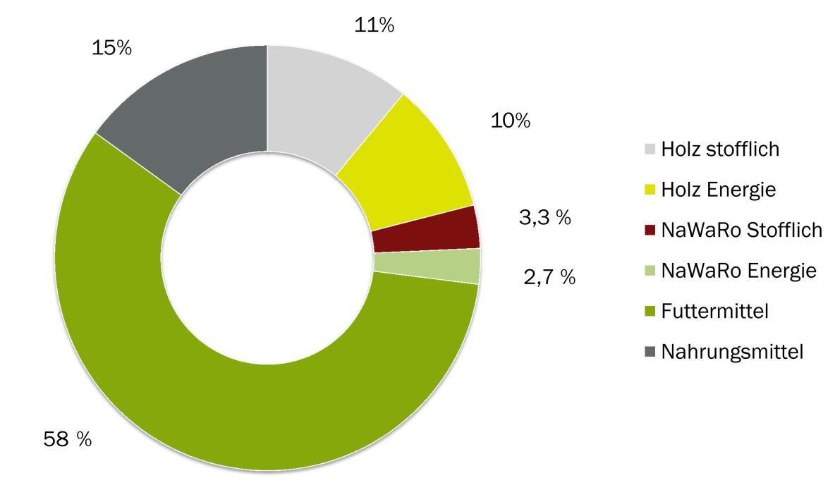 Bioenergien weltweit 2012; Daten aus REN 21, BP, Faaij Jedem der 7,2 Mrd.