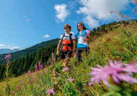 Paradiesisch eine perfekte Kulisse Die wunderschöne Berglandschaft im Salzburger Land ist eine perfekte Kulisse für tolle Wanderungen und Mountainbiketouren, Nordic Walking und Laufsport.