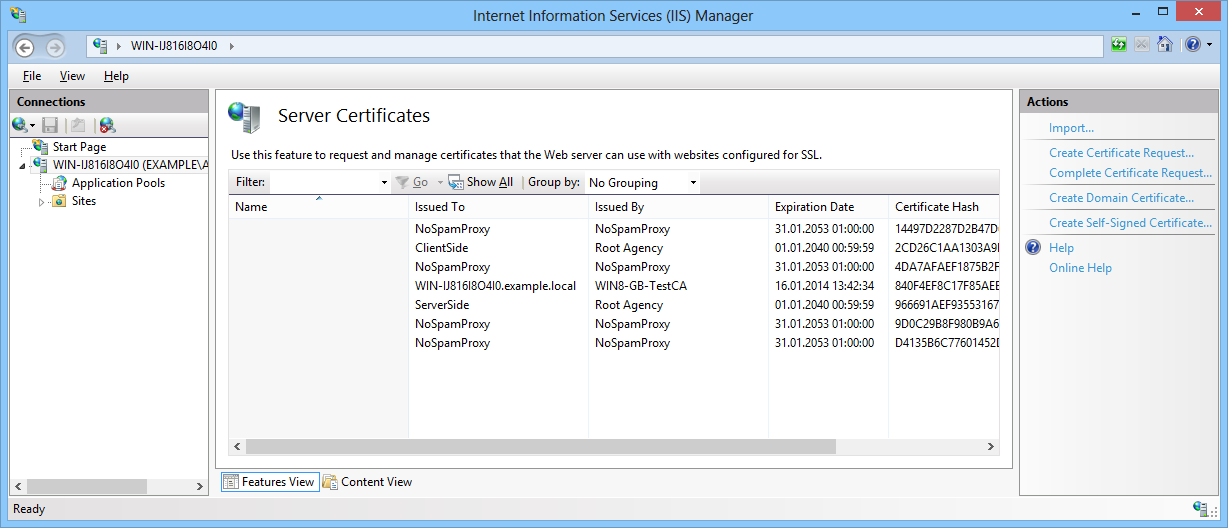 Installation eines SSL-Zertifikats im IIS Bild 12: Die Liste aller Server-Zertifikate Stellen Sie sicher, dass das verwendete SSL-Zertifikat unter anderem den exakten FQDN enthält, den Sie für den