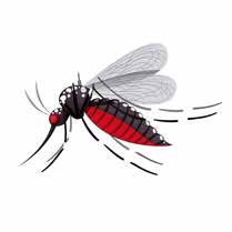 Aktiv-Bioresonanz InsektenSchutz Rund zwei Drittel aller Tiere sind Insekten. Man kennt über eine Million Arten.