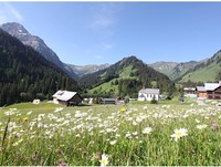 Urlaubskonfigurator Ihre Auswahl Frühling Sommer Herbst Winter Sportler Familie Ruhesuchender Entdecker Geniesser Wandern Trail Running Wellness & Gesundheit Kultur Kulinarik Schlittenfahren