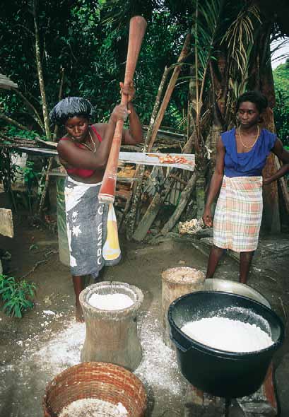 Erinnert an Bilder aus Afrika: Buschnegro- Frauen bei der Zubereitung von Cassava- Mehl.