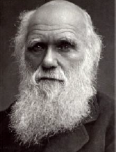Evolutionstheoretische Emotionstheorien Evolutionstheorie Charles Darwin (1809 1882) Prinzip der natürlichen Selektion Erbliche Eigenschaft weist eine Variation auf Selektionsdruck aus der Umwelt