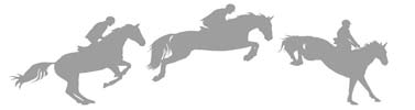 14 Zeitplan Donnerstag, 12. August 2010 8:00 Springprüfung Kl. M* 9:30 Springpferdeprüfung Kl. A** Qualifikation 3. Deister-Championat für 4-jährige Pferde 12:15 Springprüfung Kl.