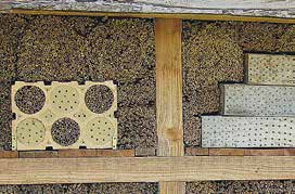 Wildbienenschutz am Haus und im Garten Auch gezielte Hilfsmaßnahmen vor der eigenen Haustür können die Situation für manche Wildbienenarten verbessern und zugleich Möglichkeiten zum Naturerleben