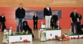 VEREIN Deutsche Meisterschaft für Fährtenhunde in Sewekow Alles auf Anfang...! Na ja, fast alles.