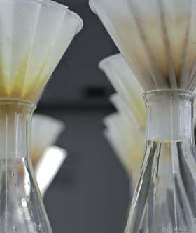 Der Aromastoff digestan ist das Ergebnis einer langjährigen Forschung mit pflanzlichen Naturstoffen.