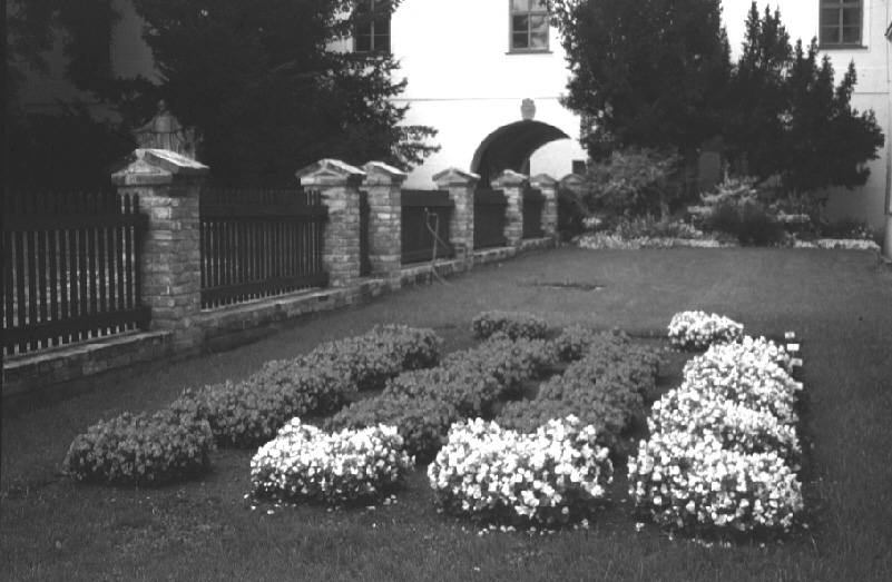 VIII. Mendelsche Gesetze 8 Punkte Auf dem Photo sieht man den Klostergarten der Augustinermönche in Brünn/Brno. Hier führte Gregor Mendel, ein Begründer der Genetik seine Experimente durch.