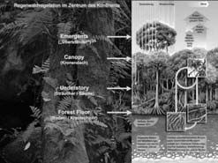 Afrika aus geografischer Sicht; Bilder aus dem Vortrag von Gregor Falk. 38 Pflanzenwelt und der Bodenschätze zu verwerten und die Lebenshaltung der Eingeborenen zu verbessern.