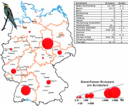 Bastian et al.: Der Bienenfresser (Merops apiaster) in Deutschland 879 Abb. 10: Aktuelle Verbreitung des BF in den 16 deutschen Bundesländern.