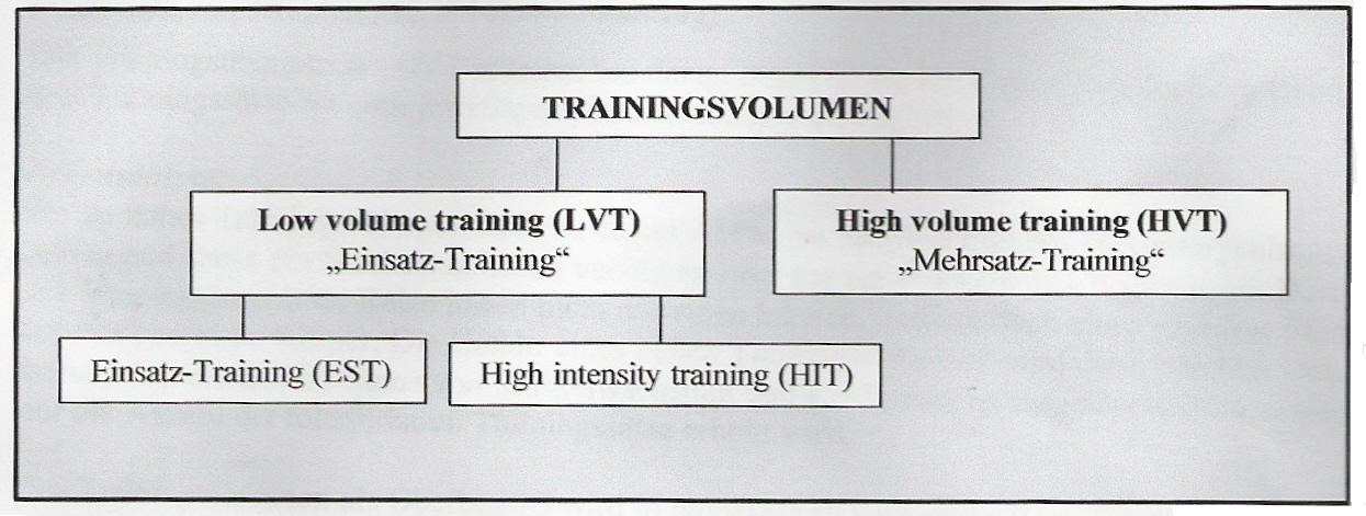 80 Abb. 23: Unterteilung der Trainingsformen anhand der Trainingsvolumina (Heiduck, Preuß & Steinhöfer, 2002, S. 5). Die nachfolgende Untersuchung (Kapitel 3.