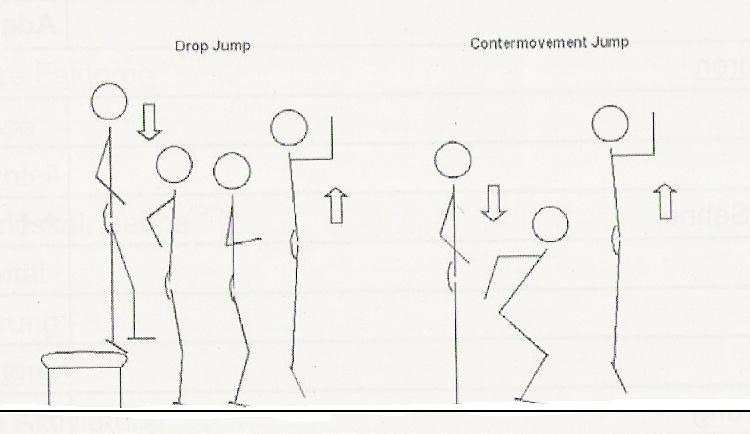 22 Abb. 7: Drop-Jump und Countermovement-Jump (Güllich & Schmidtbleicher, 2000, S.