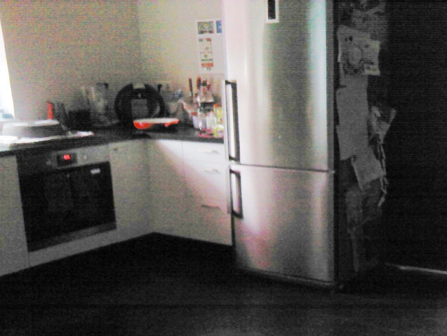 Thermografieaufnahme im Wohnzimmer (EG) Thermografieaufnahme in der Küche (EG)