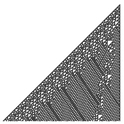 5.5.4 Zelluläre Automaten Stephen Wolfram (1959-)