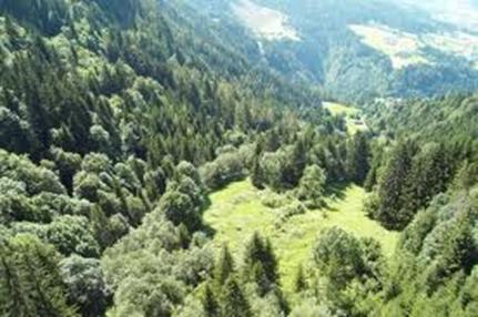 6 Vom Gesichtspunkt des Bauherrn: die Wohnanlage Jenbach und ihre Folgen Holzbau und passiv D. Waldeck 2. Forum Holzbau Beaune 12 Tirol hat eine Gesamtwaldfläche (nach Kataster) von 463.