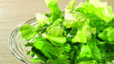 Salate gerüstet (Einzelkomponenten) Lattich Lollo Blatt grün Lollo Blatt rot gewaschen geschnitten 40 mm Art.-Nr. (01.)4427 (01.)4422 1 kg Btl gerüstet gewaschen Art.-Nr. (01.)4450 gerüstet gewaschen Art.