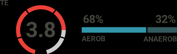 TRAINGSEFFEKT ZUSAMMENGEFASST Intensität %VO2max EPOC Modellierung Aerobe Last HIT Erkennung Anaerobe Modellierung Anaerobe