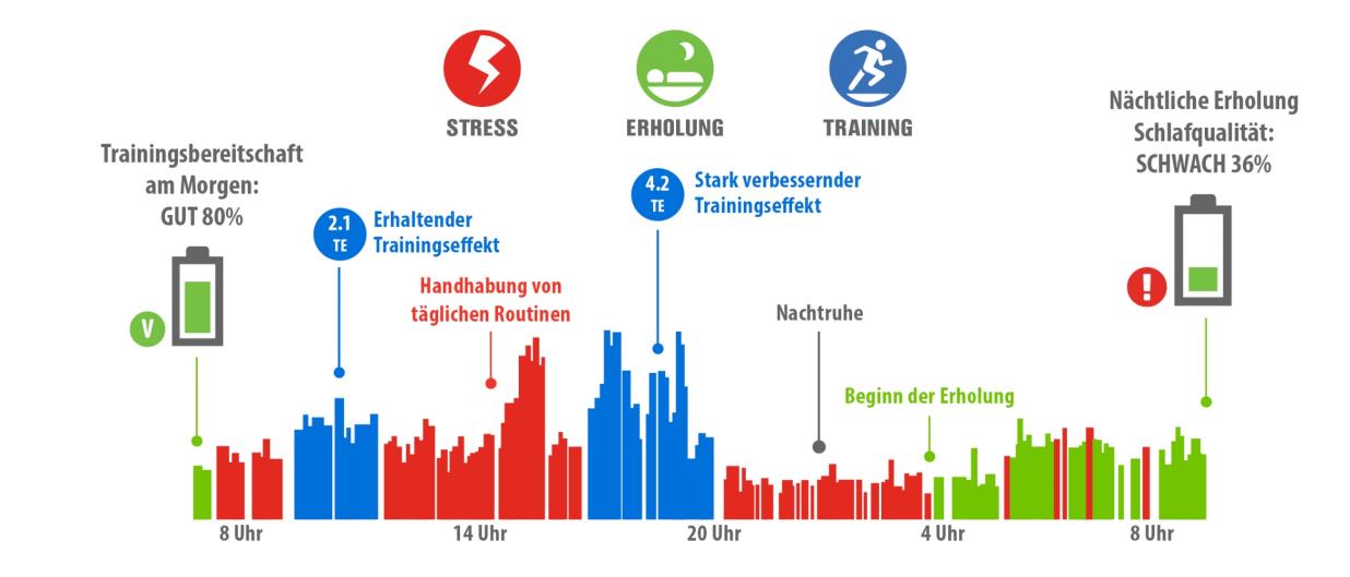 ATHLETEN TRAINIEREN BIS ZU 25 STUNDEN PRO WOCHE