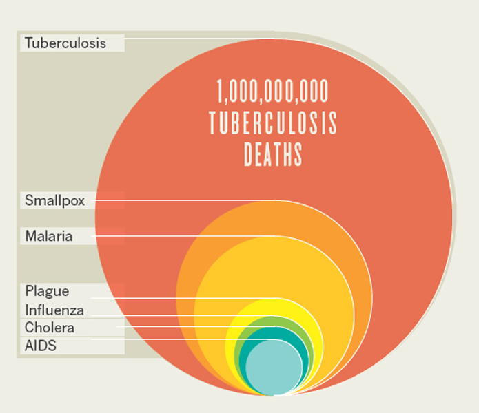 TB 2013 weltweit mehr Tote durch TB