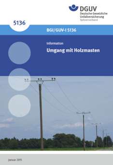Ausgangssituation: Inkraftsetzung der BGI/GUV-I 5136 Inkraftsetzung der BGI/GUV-I 5136 Umgang mit Holzmasten Ziffer 5.4.
