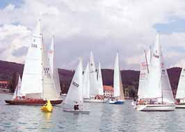 AUS DEM LANDKREIS Mi., Viel gebo(o)ten Regatta des Yachtclubs Bodman-Ludwigshafen (swb). Die Clubregatta des Yachtclubs Ludwigshafen lockte eine Rekordteilnehmerzahl von 43 Booten an.