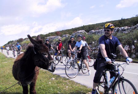 Route ZB Inselhüpfen mit dem Fahrrad Nord-Dalmatien 1 Woche ab Zadar Schiffs-Routen Fahrrad-Etappen 1 Woche ab 480 Mandre Povljana Molat Zaton Ugljan Zadar Božava Preko Brbinj Sali Kornati Tkon Tisno