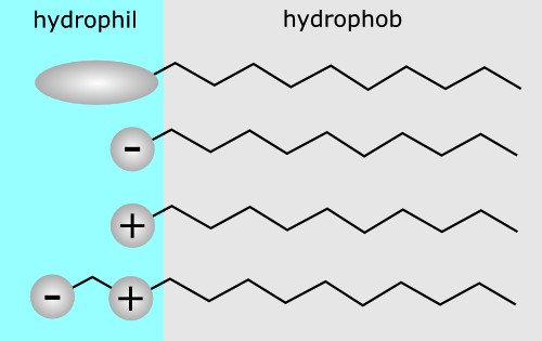 Solubilisierung in Mizellen Abstract 1 Theoretische Grundlagen Tenside sind Moleküle, die aus einem hydrophilen (polaren) und einem hydrophoben (unpolaren) Molekülteil bestehen(abbildung 1).