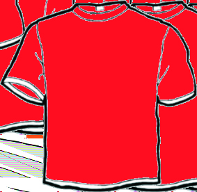 BEDRUCKTE T-SHIRT s Lady Shirts Druck Aufpreis 2,- Kinder Shirts auf Anfrage beiseitigen Druck Aufpreis 7,- alle Preise inkl. 20%Mwst.