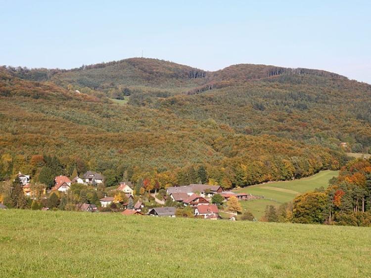 NSG Troppberg im zentralen Sandstein-Wienerwald zwischen Mauerbach und Pressbaum seit 2008 unter Naturschutz großflächige Buchenwälder mit hohem