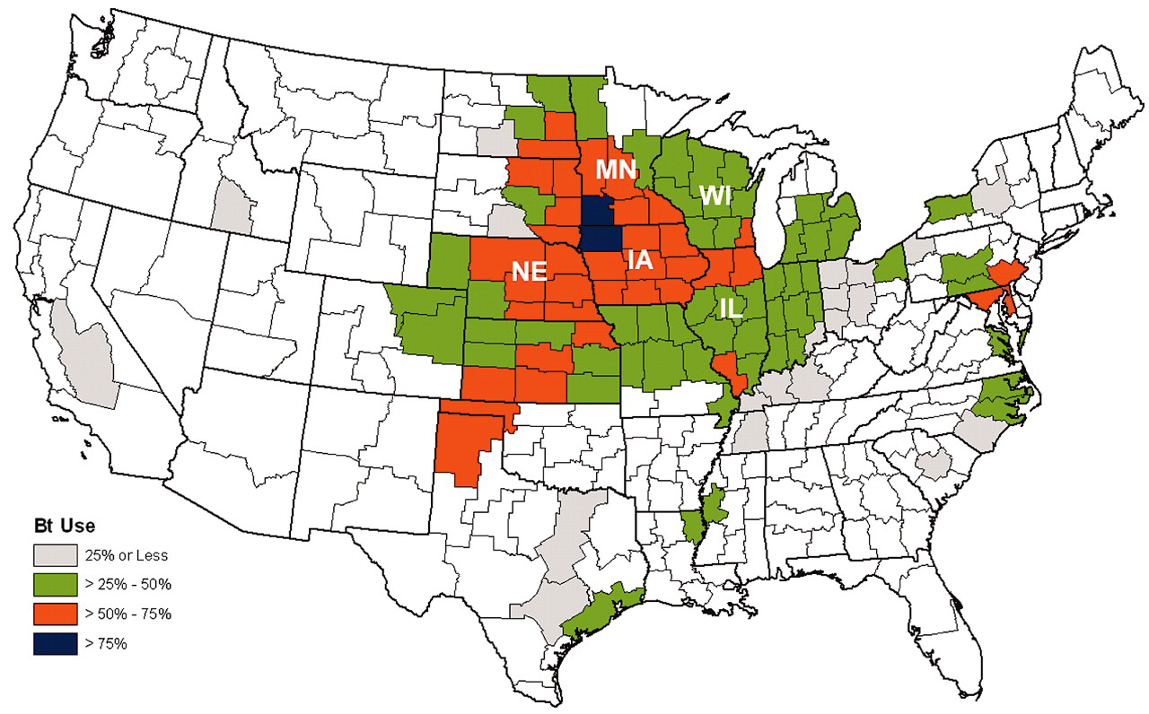 Bt - Pflanzen Verbreitung von Bt-Mais in den USA http://www.