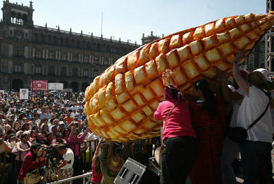 Mexiko: Mais-Ursprungsgebiet 2009: versuchsweiser Anbau von GVO-Mais in 7 Staaten Nord-Mexikos Folgen: genetische Kontamination mit Landrassen, Patentrechtsverletzungen, massiver Widerstand in der