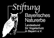 LBV STIFTUNG Bayerisches Naturerbe Fotos: Umweltstation Fuchsenwiese Die Jugendlichen waren mit vollem Einsatz bei der Sache (oben), um dem neuen Pavillon (links) einen behindertengerechten Zugang zu