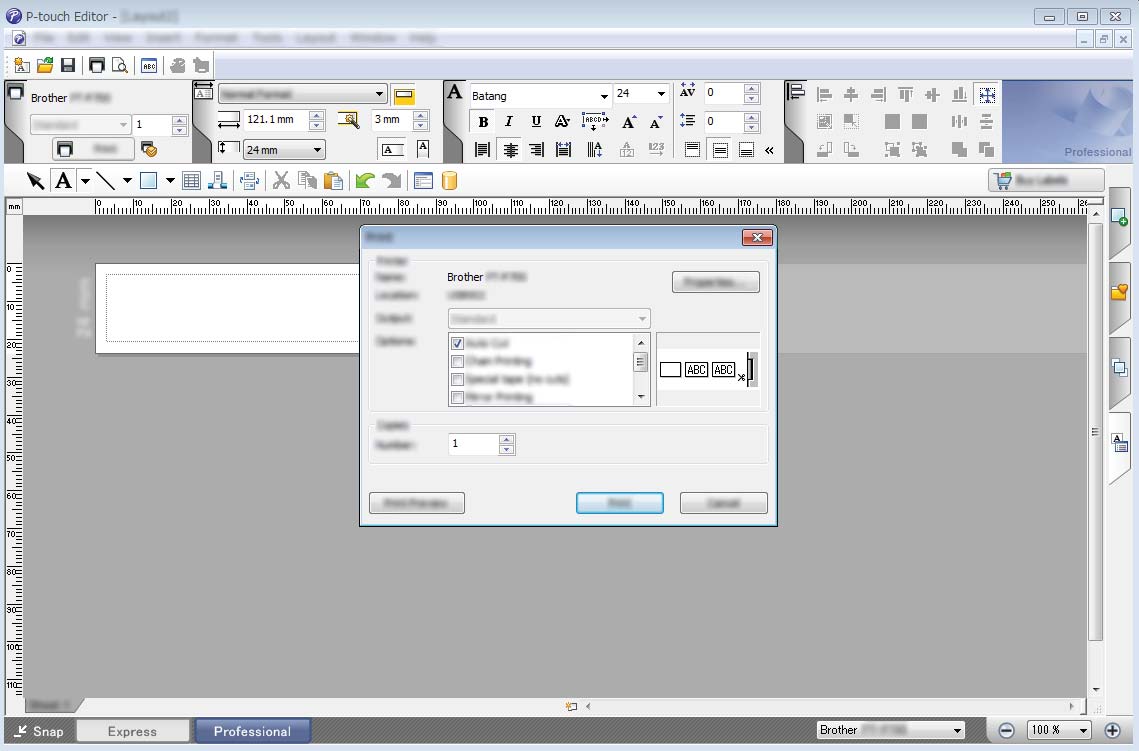 Mit dem P-touch Editor drucken Express-Modus In diesem Modus können Sie schnell und einfach Layouts mit Text und Bildern erstellen.