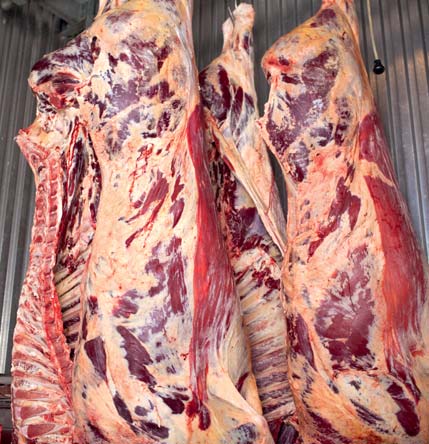 Chance für Rinderhalter Rindfleisch in geprüfter Qualität ist gefragt. Die Nachfrage nach QS-Rindfleisch steigt kontinuierlich.
