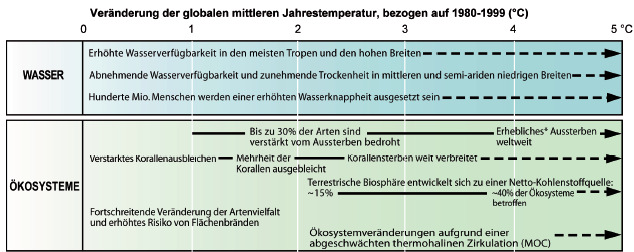 Sachstandsbericht, Synthesebericht; Übersetzung; Bern, Wien, Berlin 2007 17 Wichtige Folgen