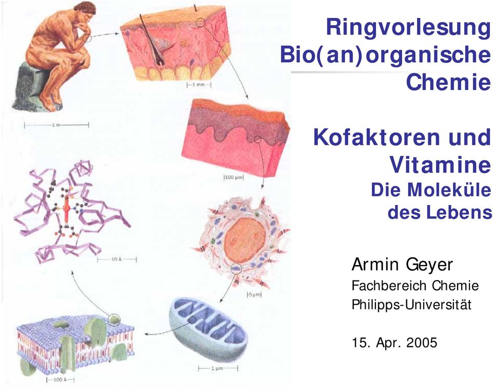 Moleküle des Lebens Armin Geyer