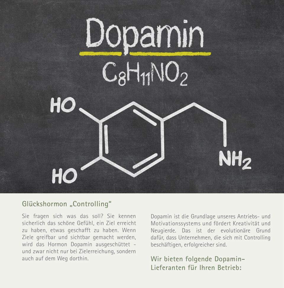Wenn Ziele greifbar und sichtbar gemacht werden, wird das Hormon Dopamin ausgeschüttet - und zwar nicht nur bei Zielerreichung, sondern auch auf