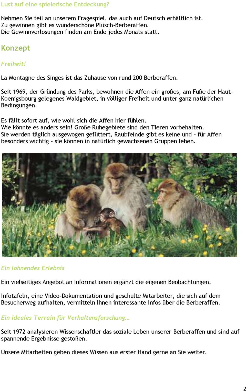 Seit 1969, der Gründung des Parks, bewohnen die Affen ein großes, am Fuße der Haut- Koenigsbourg gelegenes Waldgebiet, in völliger Freiheit und unter ganz natürlichen Bedingungen.