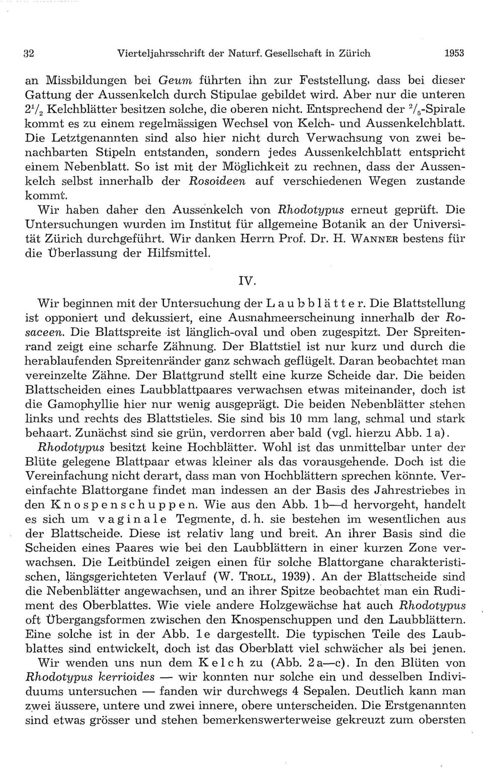 Die Letztgenannten sind also hier nicht durch Verwachsung von zwei benachbarten Stipeln entstanden, sondern jedes Aussenkelchblatt entspricht einem Nebenblatt.