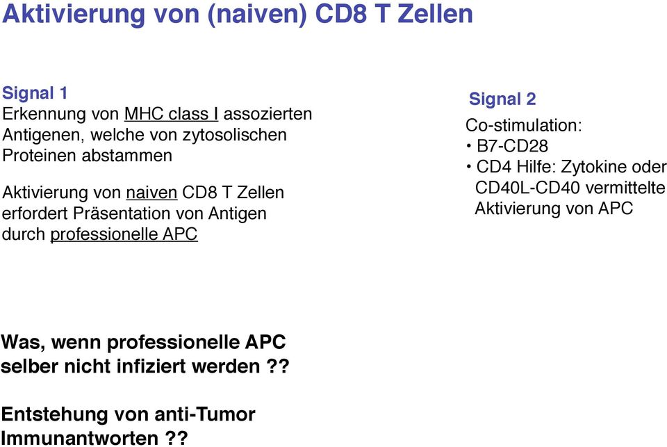 professionelle APC Signal 2 Co-stimulation: B7-CD28 CD4 Hilfe: Zytokine oder CD40L-CD40 vermittelte