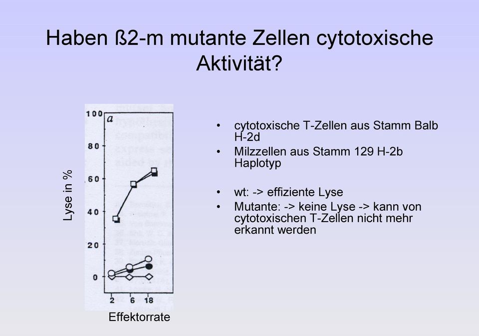 Milzzellen aus Stamm 129 H-2b Haplotyp wt: -> effiziente Lyse