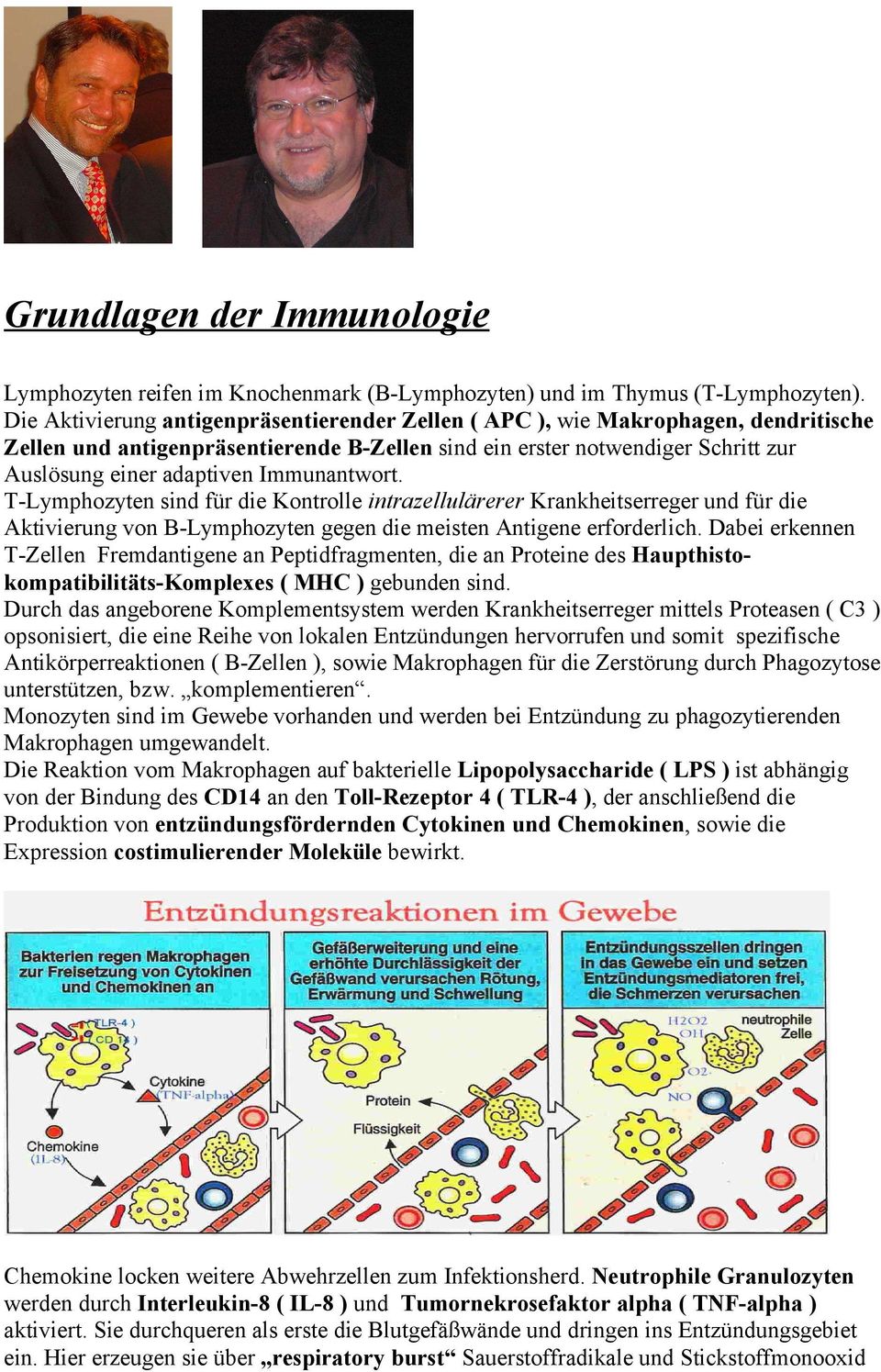 Immunantwort. T-Lymphozyten sind für die Kontrolle intrazellulärerer Krankheitserreger und für die Aktivierung von B-Lymphozyten gegen die meisten Antigene erforderlich.