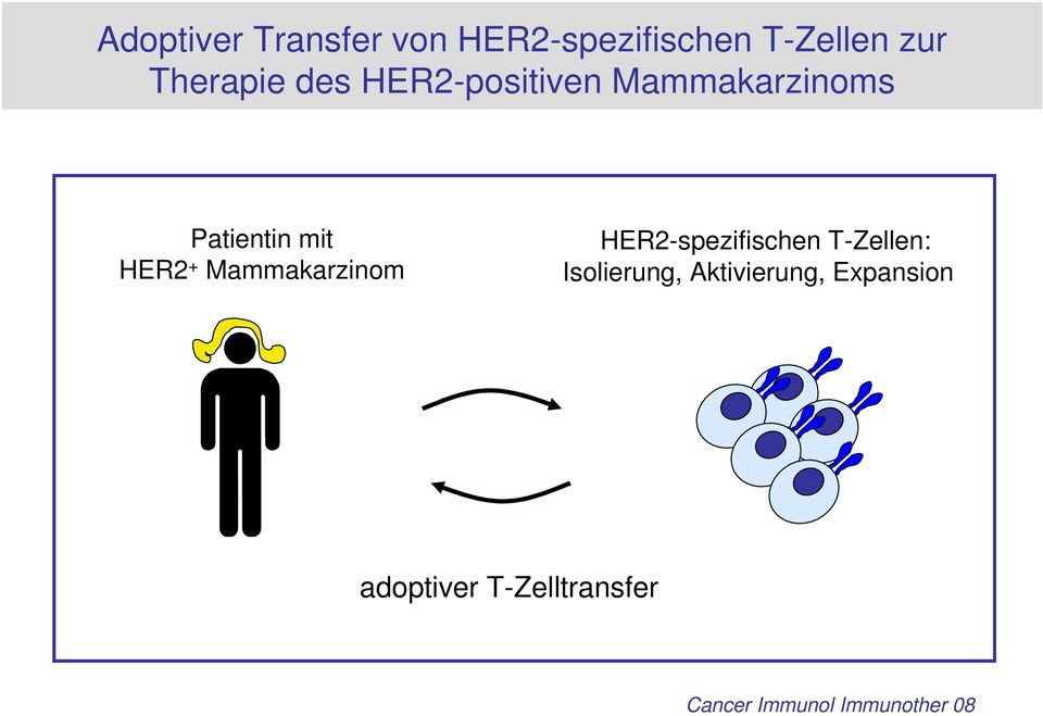 + Mammakarzinom HER2-spezifischen T-Zellen: Isolierung,