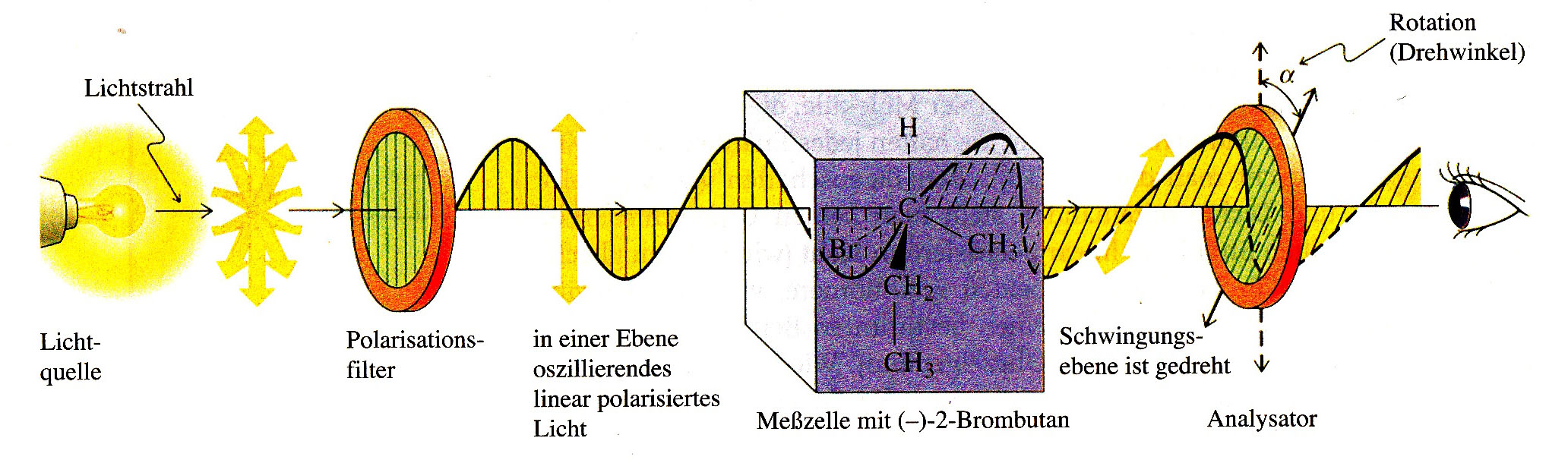 Messzelle c = Konzentration abhängig vom Lösungsmittel Skript: