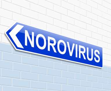 5 Allgemeines zum Norovirus Nur wenigen Menschen ist der Norovirus, der für Schlagzeilen im Winter 2007/2008 sorgte, heute noch ein Begriff.