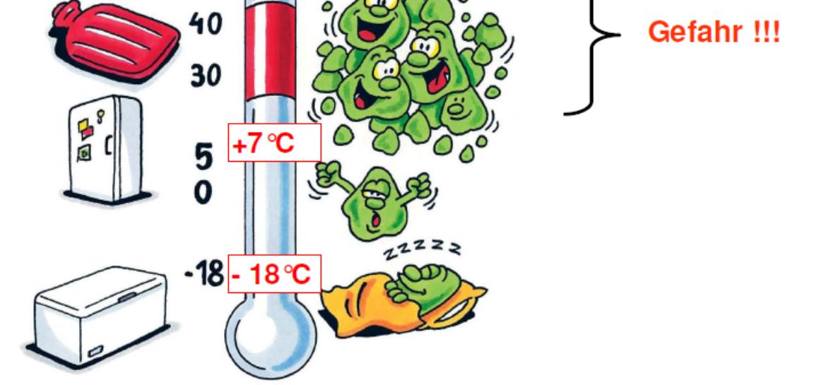 Welche Rolle spielt die Temperatur Abtötung von Mikroorganismen optimaler