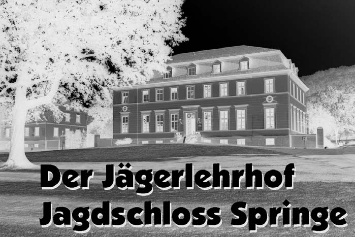 2011 Heft 1:HL_Blätter_Inhalt_4.qxd 02.05.2011 17:04 Seite 13 Im Jagdschloss Springe befindet sich die zentrale Aus- und Weiter bildungs - stätte der Landesjägerschaft Niedersachsen e.v.