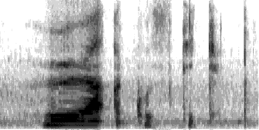 Sprachwahrnehmung und Sprachaudiometrie 157 Grundfrequenz (Schwingungsfrequenz der Glottis) mit ihren Obertönen (ganzzahlige Vielfache der Grundfrequenz) erkennen, sowie die Formanten, d. h.