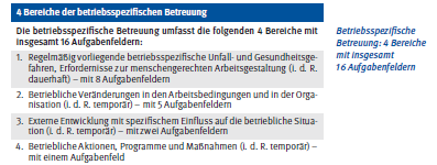 Betriebsspezifische Betreuung Aufgabenfelder Auszug aus: DGUV (Hrsg.